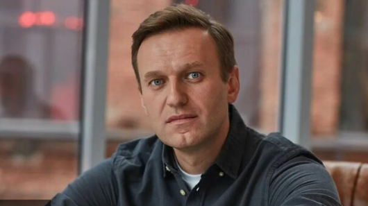 Германия опровергла нахождение в стране улик по делу Навального